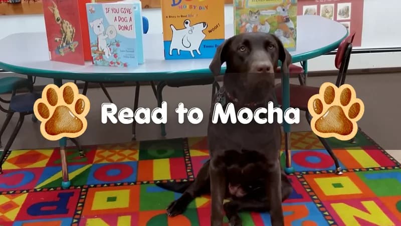 Read to Mocha!