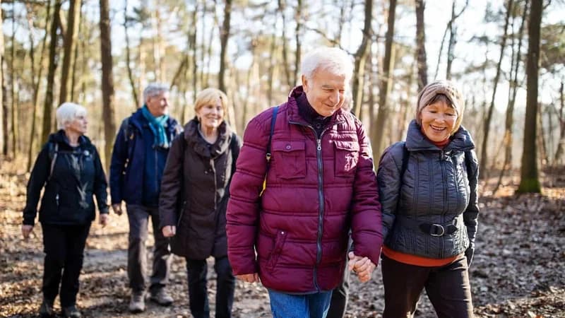 Promotional image for Walking Group